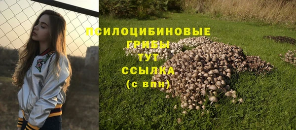МДПВ Белокуриха