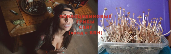 дурь Белоозёрский
