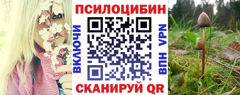 Галлюциногенные грибы Psilocybine cubensis  где купить наркоту  Ельня 